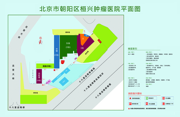 嗯～好大啊撑不下了北京市朝阳区桓兴肿瘤医院平面图